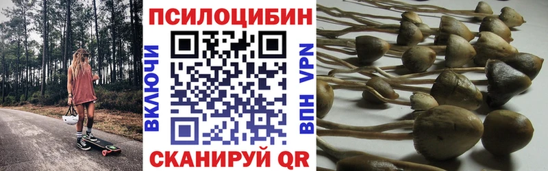 Галлюциногенные грибы ЛСД  Емва 
