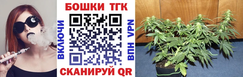 Канабис сатива  наркотики  Емва 